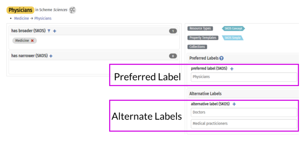 Screenshot of the concept "Physicians" showing alternative labels "Doctors" and "Medical practitioners" using Synaptica's taxonomy tool Graphite.